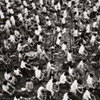 Humanism in China - A Photographic Portrait