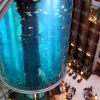 Radisson Blu lets you discover the aqua world