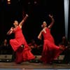 Flamenco Festival